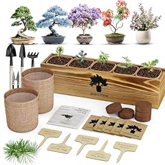 Bonsai tree kit for sale  Delivered anywhere in USA 