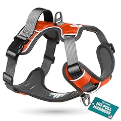 Embark adventure hundegeschirr gebraucht kaufen  Wird an jeden Ort in Deutschland