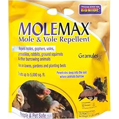 Bonide molemax mole for sale  Delivered anywhere in USA 