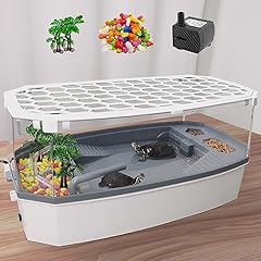 Verabe small turtle for sale  Delivered anywhere in USA 