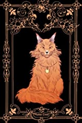 Maine coon best for sale  Delivered anywhere in Ireland