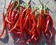 Chile arbol pepper for sale  Delivered anywhere in USA 