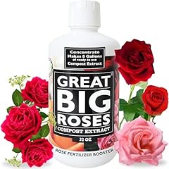Great big roses for sale  Delivered anywhere in USA 