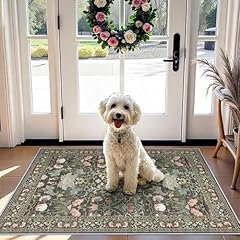Washable 2x3 entryway for sale  Delivered anywhere in USA 