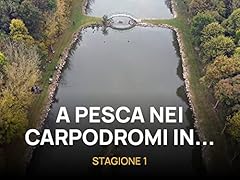 Pesca nei carpodromi usato  Spedito ovunque in Italia 