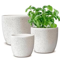 Hlukana ceramic plant for sale  Delivered anywhere in USA 