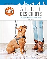 école chiots d'occasion  Livré partout en France