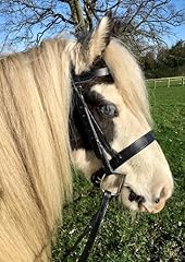 Flat hunter snaffle for sale  Delivered anywhere in UK