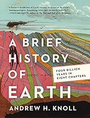 Brief history earth for sale  Delivered anywhere in Ireland