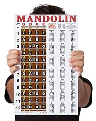 Laminated mandolin fretboard for sale  Delivered anywhere in USA 