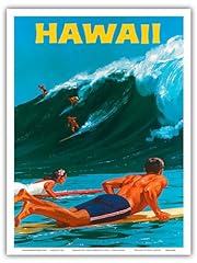 Hawaii big wave for sale  Delivered anywhere in USA 