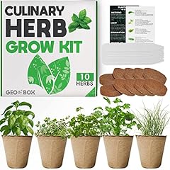 Herb garden indoor for sale  Delivered anywhere in USA 