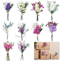 Rxkfigx bündel trockenblumen gebraucht kaufen  Wird an jeden Ort in Deutschland