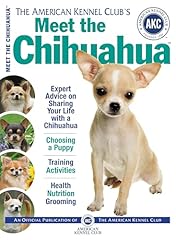 Meet chihuahua for sale  Delivered anywhere in USA 