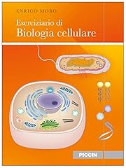 Eserciziario biologia cellular usato  Spedito ovunque in Italia 