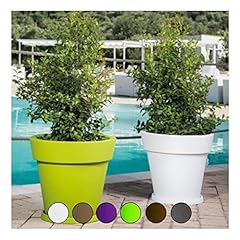 Monacis vaso arredo usato  Spedito ovunque in Italia 