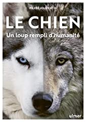 Chien loup rempli d'occasion  Livré partout en Belgiqu
