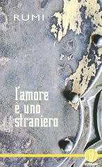 Amore uno straniero usato  Spedito ovunque in Italia 