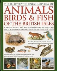 Illustrated encyclopaedia anim for sale  Delivered anywhere in UK