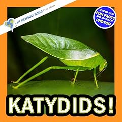 Katydids incredible picture for sale  Delivered anywhere in UK
