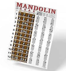 Mandolin classic style for sale  Delivered anywhere in USA 