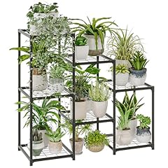 Bamworld black plant for sale  Delivered anywhere in USA 