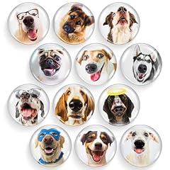 Stylish fridge magnets for sale  Delivered anywhere in USA 