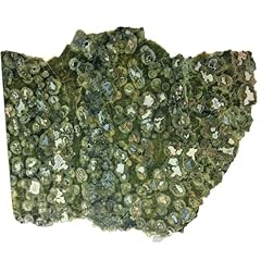 Rainforest jasper australia for sale  Delivered anywhere in USA 