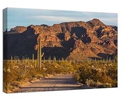 Chenchenart saguaro cactus for sale  Delivered anywhere in USA 