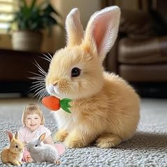 Byffoer lapin rebondissant d'occasion  Livré partout en France