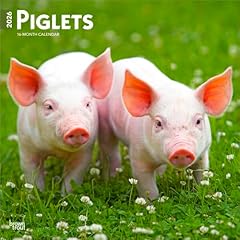 Piglets 2026 inch for sale  Delivered anywhere in USA 