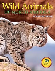 Wild animals north for sale  Delivered anywhere in USA 