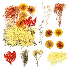 Gsrenyu dried flowers for sale  Delivered anywhere in UK