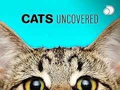 Gatti sottocopertura usato  Spedito ovunque in Italia 