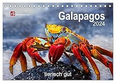 Galapagos 2024 tierisch gebraucht kaufen  Wird an jeden Ort in Deutschland