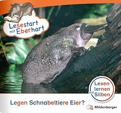 Lesestart eberhart legen gebraucht kaufen  Wird an jeden Ort in Deutschland