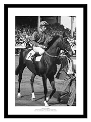 Shergar last race for sale  Delivered anywhere in Ireland