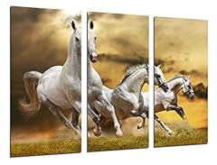 tableau cheval d'occasion tableau cheval d'occasion Livré partout en France