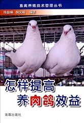 Improve meat pigeon for sale  Delivered anywhere in USA 