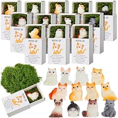 Sets positive cat for sale  Delivered anywhere in USA 