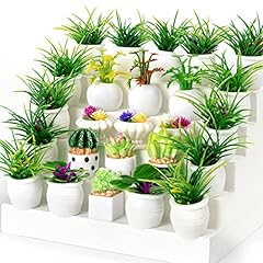26pcs miniature potted for sale  Delivered anywhere in USA 