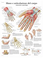 Scientific vr4171uu mano usato  Spedito ovunque in Italia 