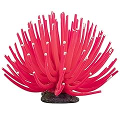 Glofish anemone ornament for sale  Delivered anywhere in USA 