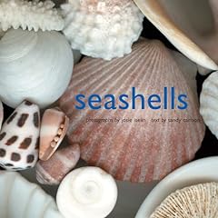 Seashells for sale  Delivered anywhere in USA 