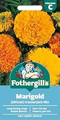 Fothergill marigold crackerjac for sale  Delivered anywhere in UK