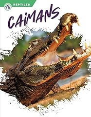 Caimans for sale  Delivered anywhere in USA 