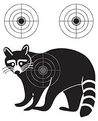 Lancy artwork raccoon for sale  Delivered anywhere in USA 