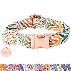 Faygarsle multicolor pattern for sale  Delivered anywhere in USA 