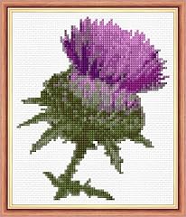 Scottish purple thistle for sale  Delivered anywhere in UK