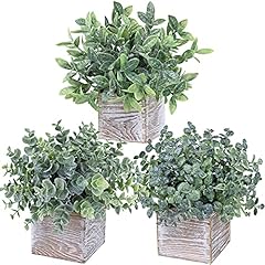 Winlyn set small for sale  Delivered anywhere in USA 